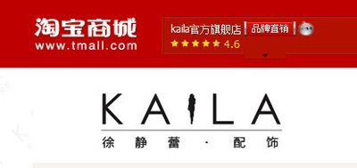 如何開網(wǎng)店之徐靜蕾的網(wǎng)店1