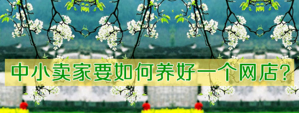 中小賣家如何做好一個網(wǎng)店？