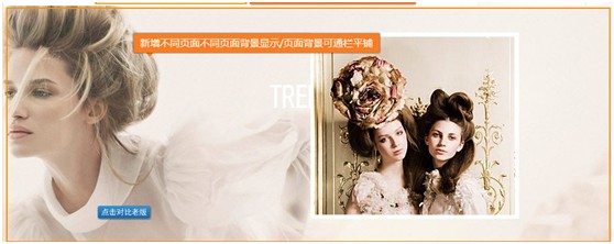 旺鋪專業(yè)版與基礎(chǔ)班的區(qū)別