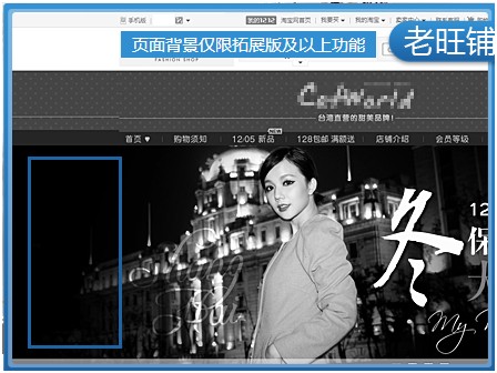 基礎(chǔ)版店鋪