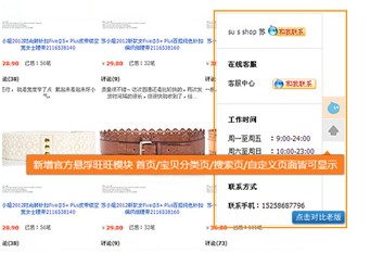 專業(yè)版店鋪