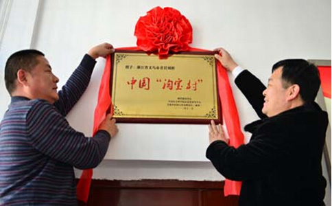 新經(jīng)濟模式下的淘寶村如何發(fā)展