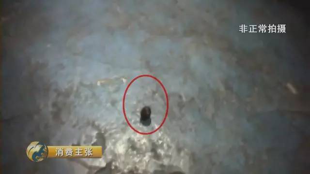 央視曝光分揀員拆開包裹偷吃偷拿 央視曝光分揀員拆開包裹偷吃偷拿