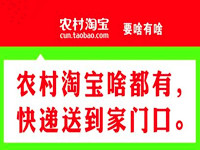 農(nóng)村淘寶服務(wù)站賺錢嗎