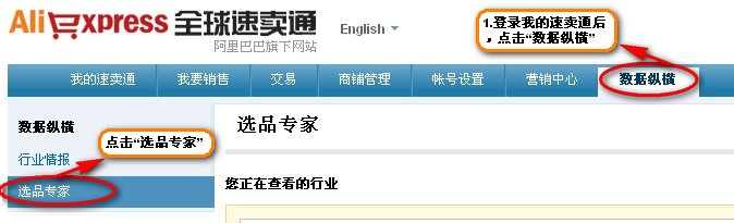 速賣通選品專家 速賣通選品專家