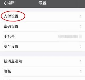 支付設置