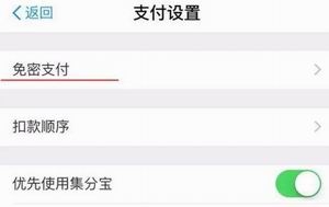 進入免密支付