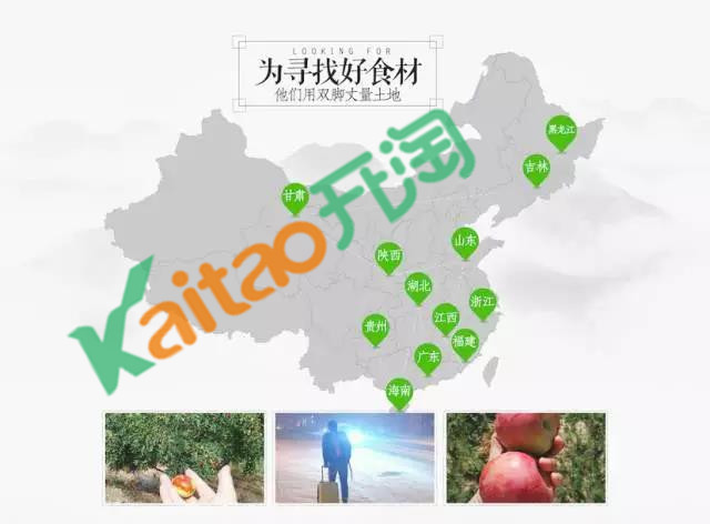 2017阿里年貨節(jié)