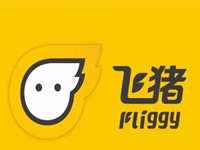 飛豬旅行怎么退票