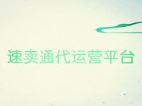 速賣通代運(yùn)營平臺