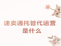 速賣通托管代運營