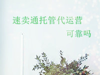 速賣通托管代運營可靠嗎