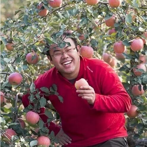 名校碩士當(dāng)果農(nóng)，三萬(wàn)億蘋(píng)果買(mǎi)到阿里!