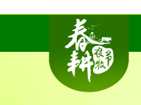 農(nóng)村淘寶春耕節(jié)