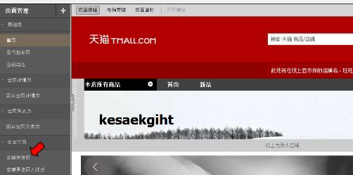 2017年天貓年中大促