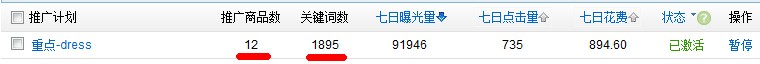 速賣通直通車推廣技巧