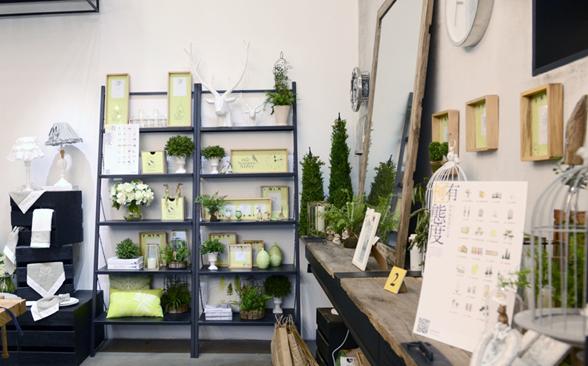 淘寶極有家的店鋪 淘寶極有家的店鋪