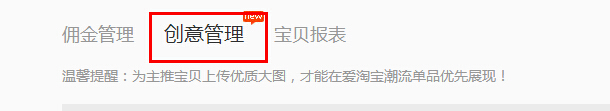 淘寶如意投創(chuàng)意圖片 淘寶如意投創(chuàng)意圖片