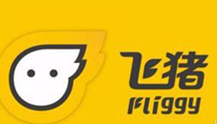 飛豬怎么改簽機(jī)票.jpg
