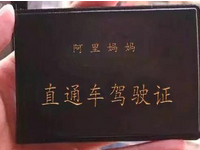 天貓直通車如何充值?天貓直通車如何充值?大家要是對(duì)這兩個(gè)問(wèn)題還不知道怎么操作的真的應(yīng)該好好來(lái)看看下面的內(nèi)容了，小編也是整理了好久才得出了天貓直通車在哪里充值以及天貓直通車如何充值?大家請(qǐng)認(rèn)真閱讀哦!
