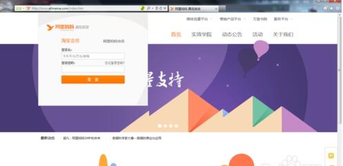 阿里媽媽導(dǎo)購(gòu)?fù)茝V設(shè)置2.jpg