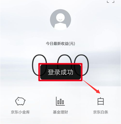 京東白條提額包在哪