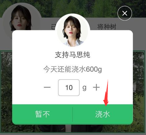 螞蟻森林明星公益林怎么玩?明星公益林怎么澆水? 螞蟻森林明星公益林怎么玩?明星公益林怎么澆水?