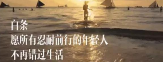 京東白條刷臉成功為什么還是系統(tǒng)異常