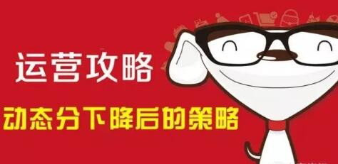 京東DSR什么意思