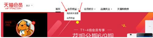 天貓怎么看自己的會員等級
