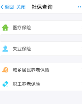 支付寶怎么查養(yǎng)老保險(xiǎn)5.png