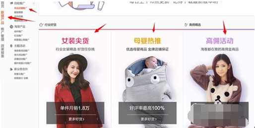 淘寶聯(lián)盟的推廣位怎么填4.png