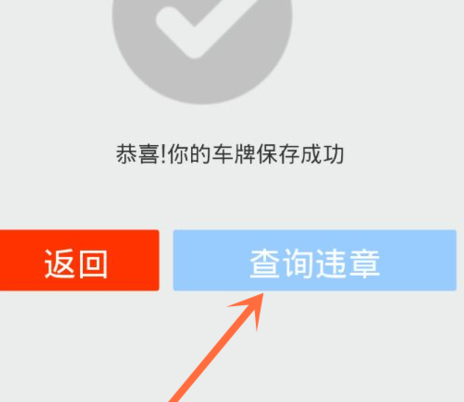 如何用支付寶繳納罰單14.png