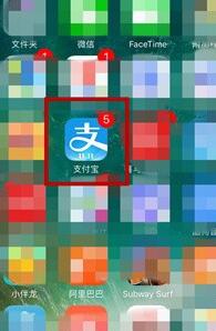 支付寶怎么查基金定投1.jpg