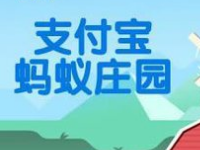 螞蟻莊園怎么防止搶食？支付寶螞蟻莊園怎么養(yǎng)小雞？