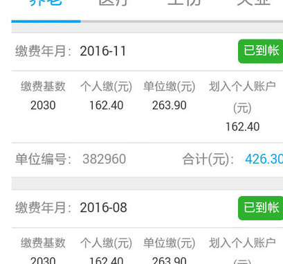 支付寶里如何查社保5.png