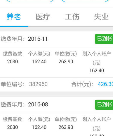 支付寶里如何查社保6.png