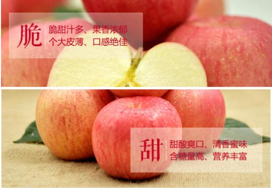 淘寶店鋪首頁(yè)設(shè)計(jì)