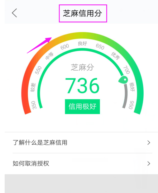 閑魚芝麻信用沒實名認(rèn)證7.png