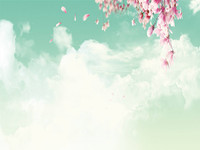 timg (1)_副本.jpg