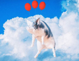 QQ截圖20180110085045.png