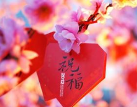 QQ圖片20170413151125.png