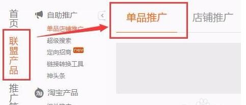 阿里媽媽返利網(wǎng)只能推自己的店嗎