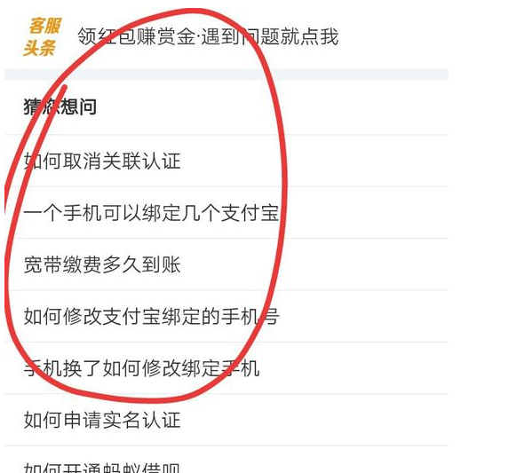 拉新支付寶異常.png
