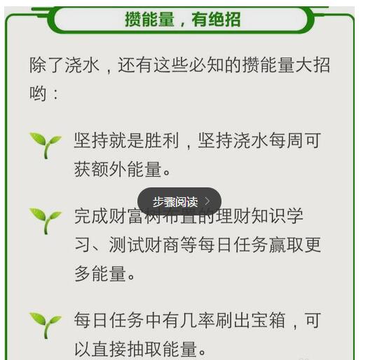 智富樹(shù)1.jpg