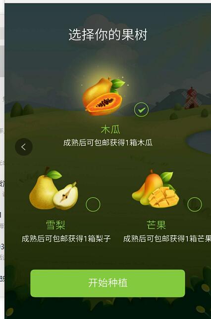 果園1.jpg