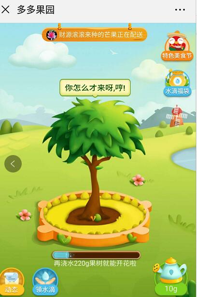 拼多多果園要種多久