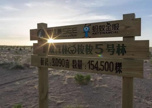 螞蟻森林