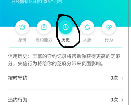 歷史芝麻分