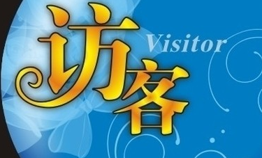 拼多多訪客